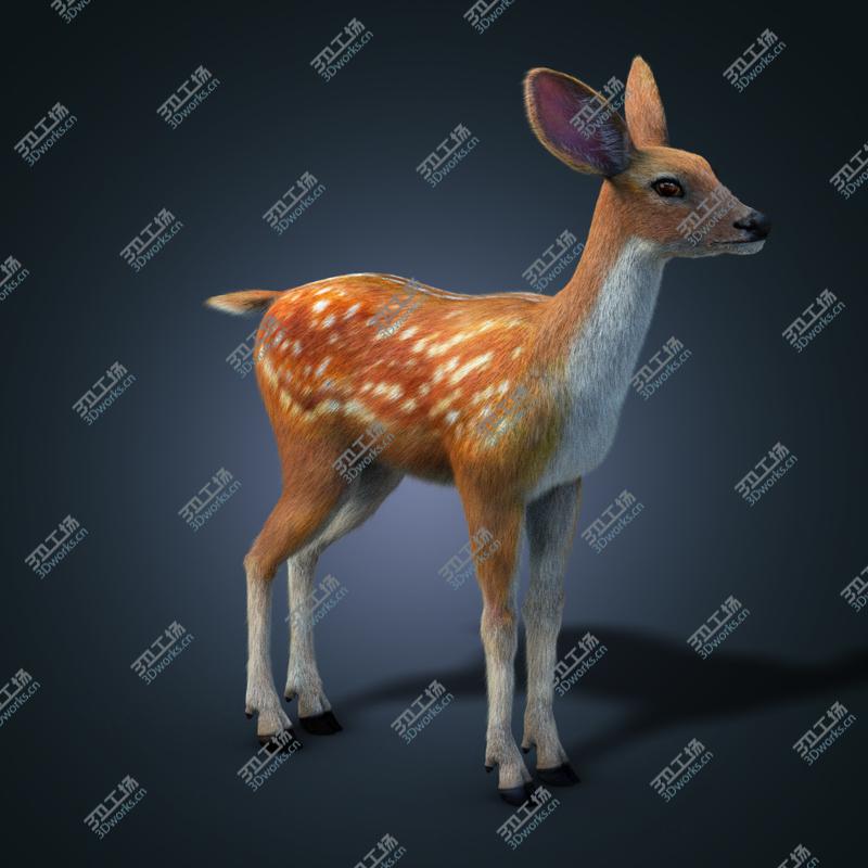 images/goods_img/2021040161/- sika deer FUR ANIMATED by/2.jpg